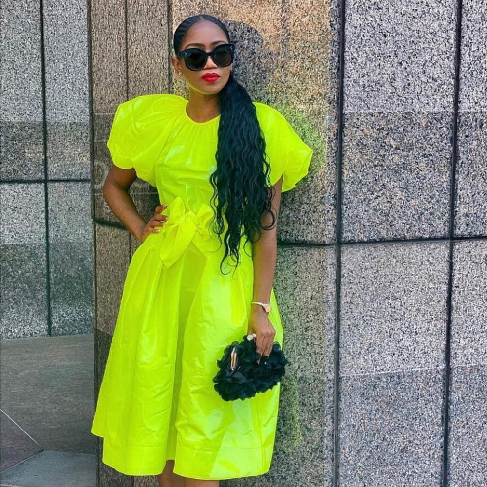 NWT Christopher John Rogers Puff Sleeve Dress - Picture 8 of 8